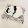 Picture of Cute Cat Sleeping On Carpet Plush Toy with Press Simulation Sound, Stuffed Cat Animal Fur Soft Toys with Sound for Kids Car Dashboard Cat & Office Desk Decoration (Whte-Black)