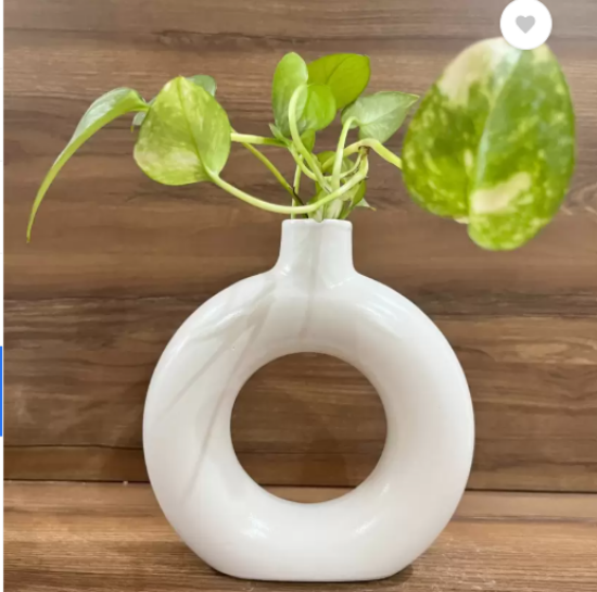 Picture of The Decor Boutique Chic and Timeless Ceramic Vase – Ideal for Elegant Home Decor Ceramic Vase