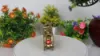 Picture of Brass Scooter Antique Gold Finish Home/Table Decor And Gift Item