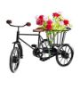 Picture of Century 21 Wrought Iron And Wood Cycle Rickshaw Showpiece Flower Vase Toy