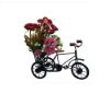 Picture of Century 21 Wrought Iron And Wood Cycle Rickshaw Showpiece Flower Vase Toy